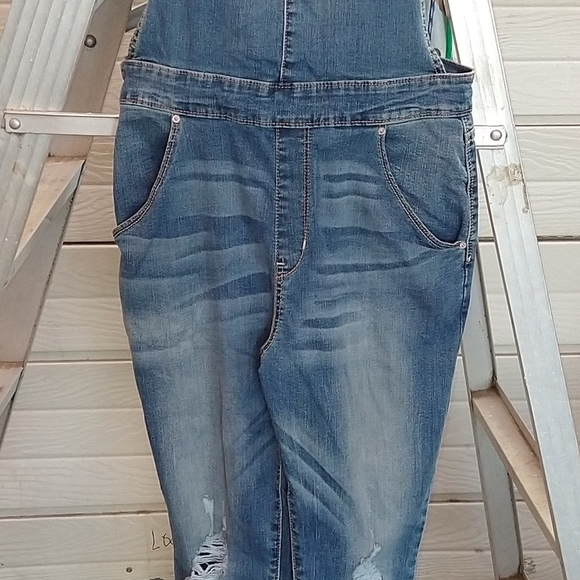 Denizen Levi's Overalls - Picture 3 of 4